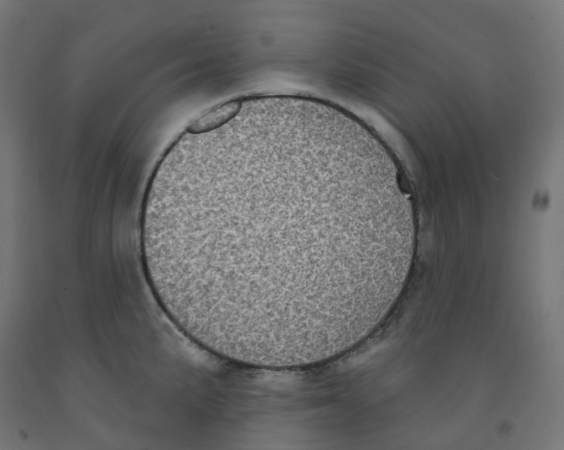 X0000091891191200710031756