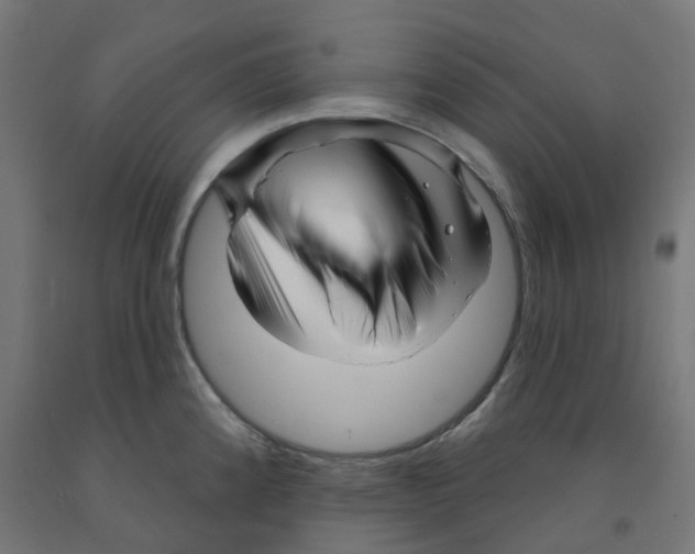 X0000091891192200710031756