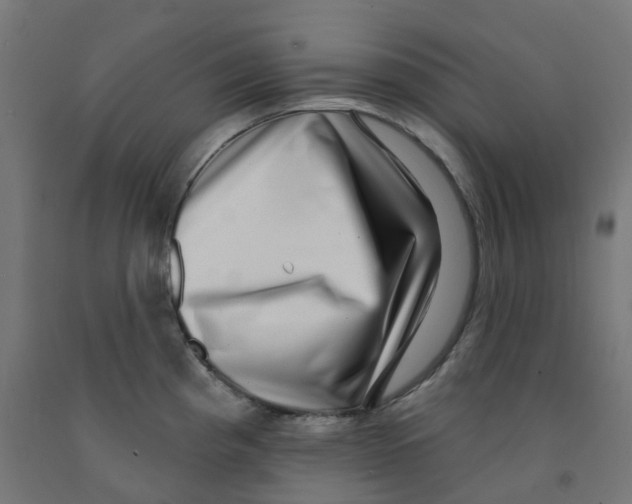 X0000091891193200710031756