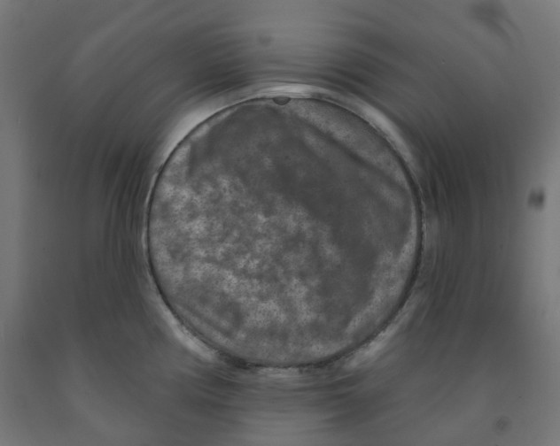 X0000091891194200710031756