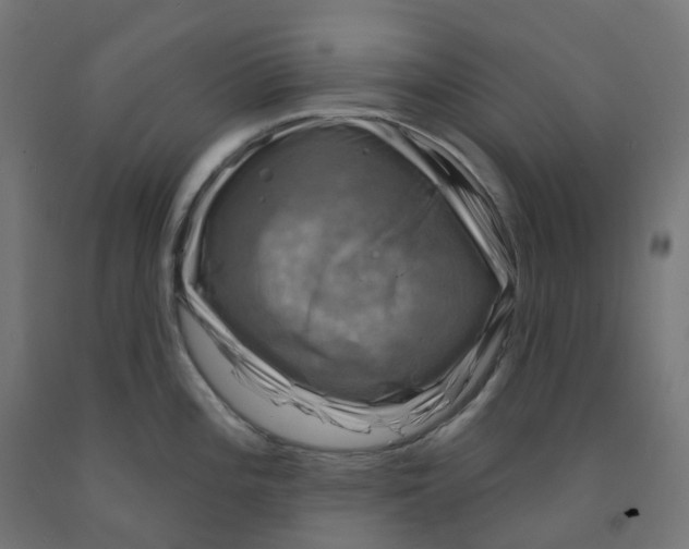 X0000091891196200710031756