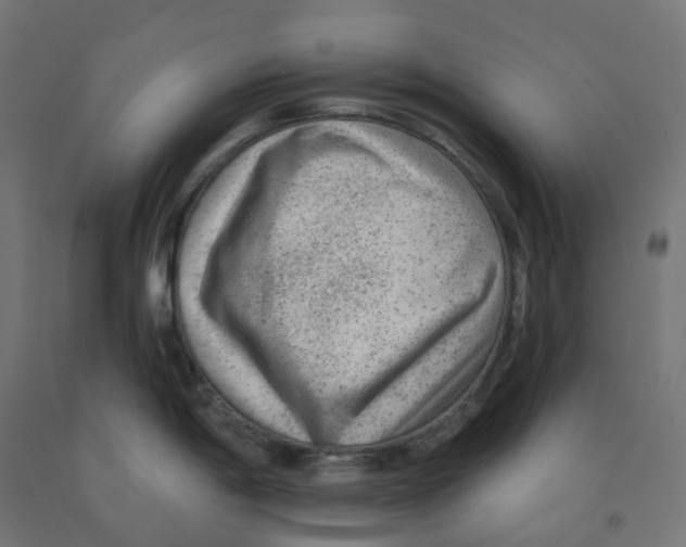 X0000091891198200710031756