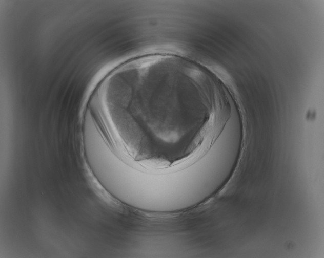 X0000091891200200710031755