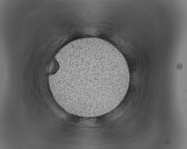 X0000091891201200710031755