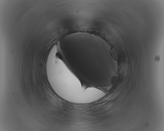 X0000091891202200710031755