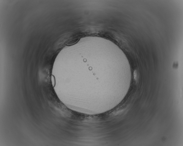 X0000091891203200710031755