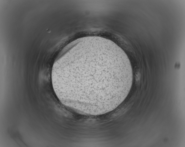 X0000091891204200710031755