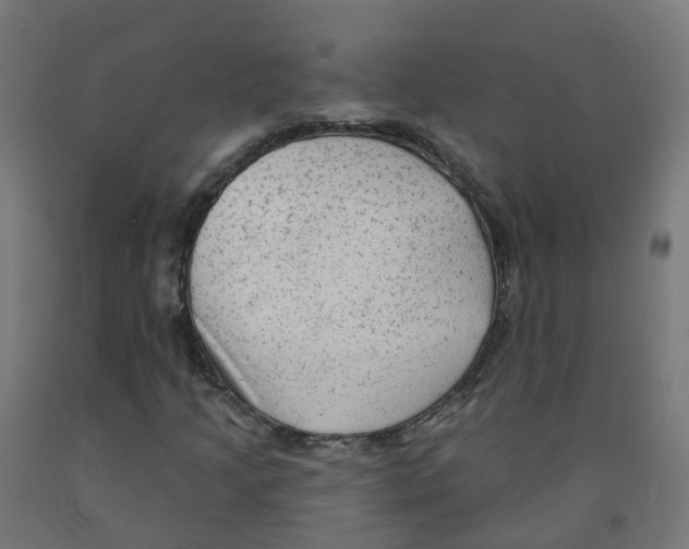 X0000091891205200710031755
