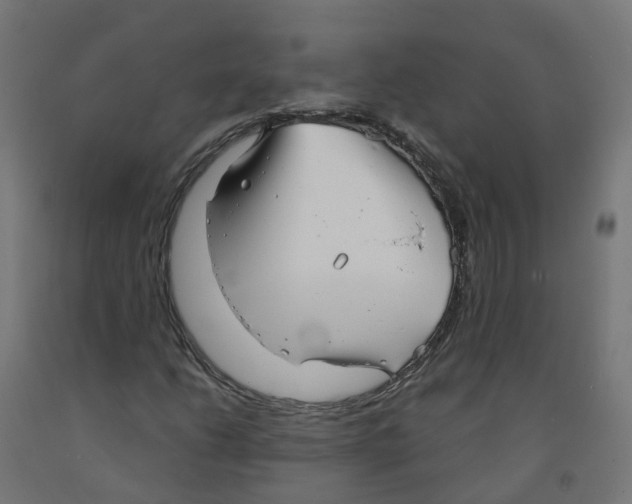 X0000091891206200710031755