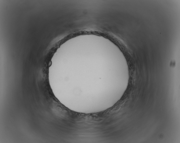 X0000091891207200710031755