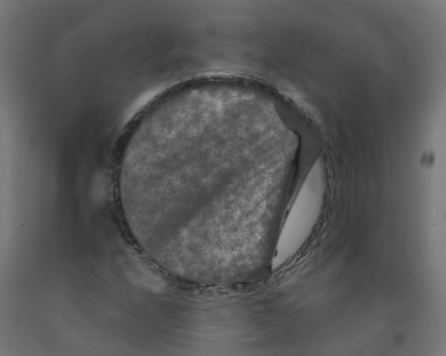 X0000091891208200710031755