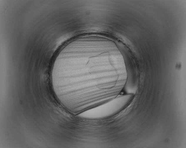 X0000091891210200710031755