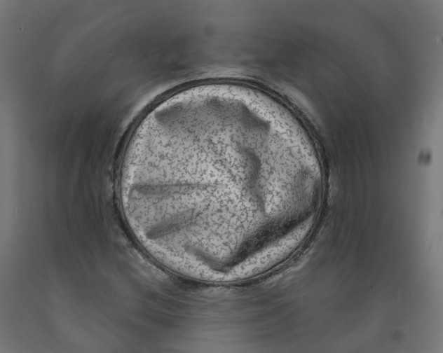 X0000091891212200710031755