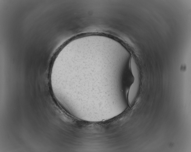 X0000091891216200710031755