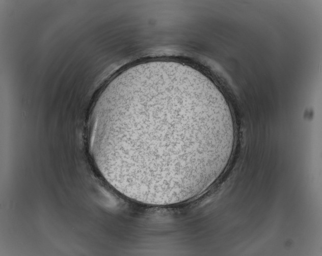 X0000091891217200710031755