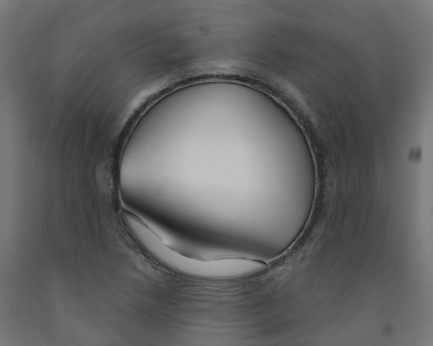 X0000091891218200710031755