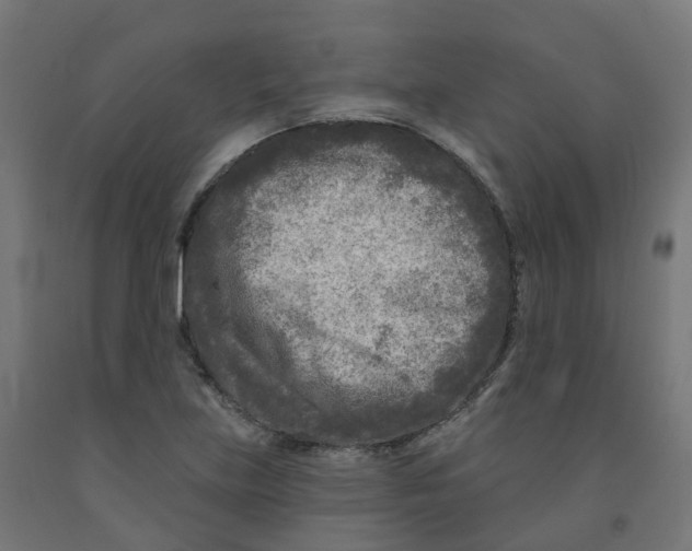 X0000091891219200710031755