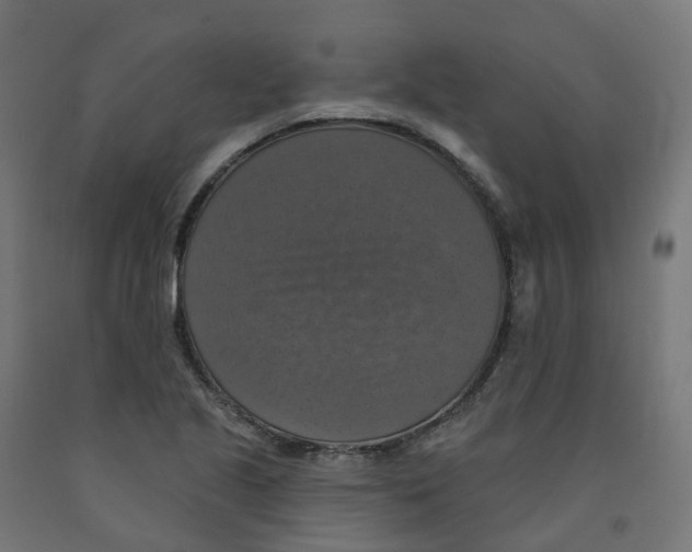 X0000091891221200710031755