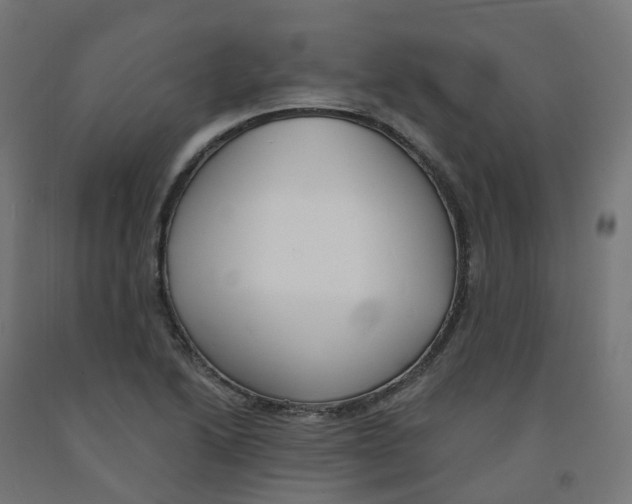 X0000091891222200710031755