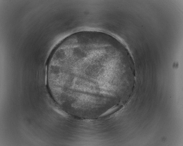 X0000091891223200710031755