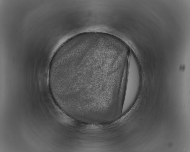 X0000091891224200710031755