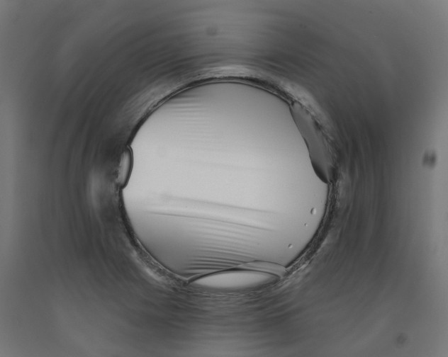 X0000091891225200710031755