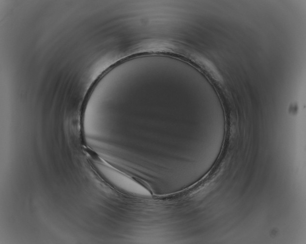 X0000091891226200710031755