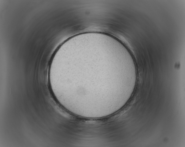 X0000091891227200710031755