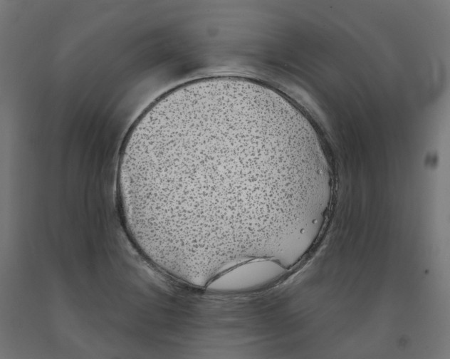 X0000091891228200710031755