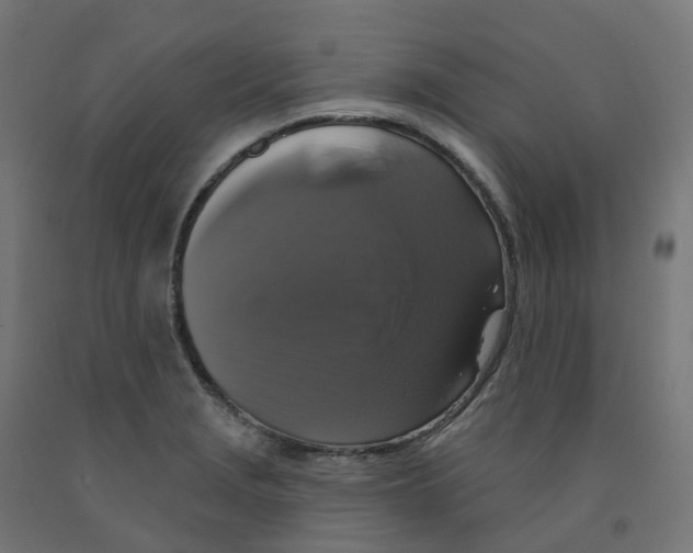 X0000091891229200710031755