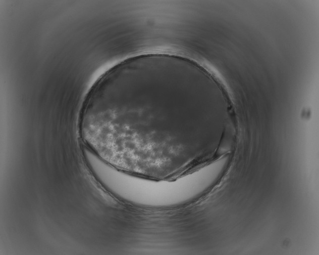 X0000091891230200710031755