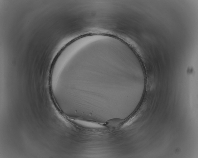 X0000091891231200710031755