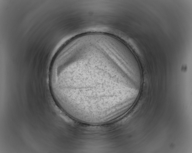 X0000091891232200710031755
