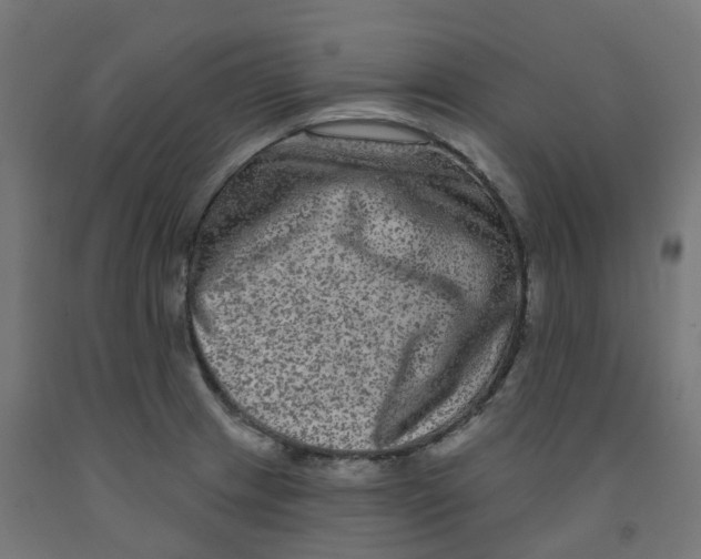 X0000091891233200710031755