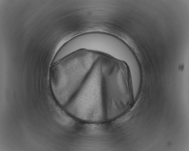 X0000091891234200710031755