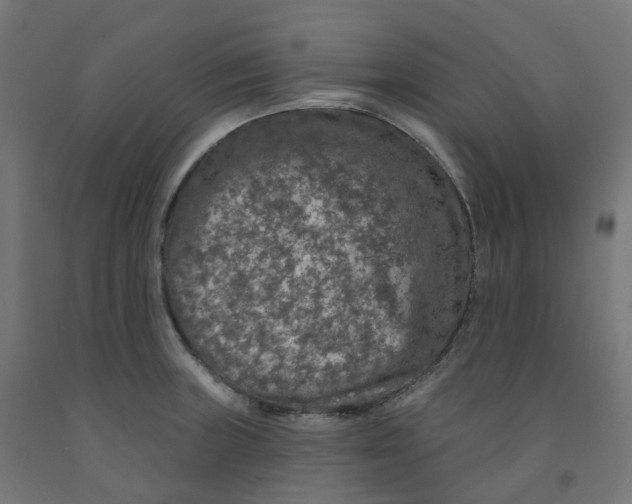 X0000091891235200710031755