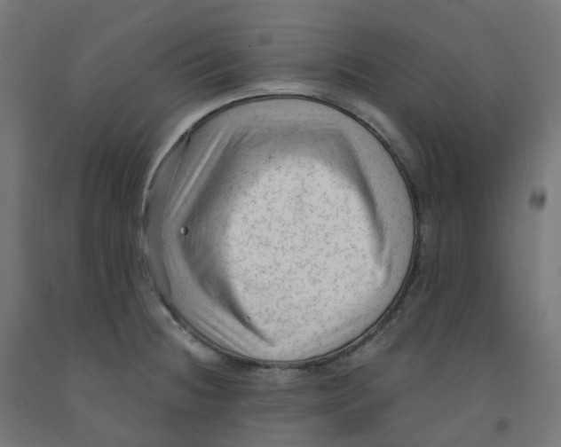 X0000091891236200710031755