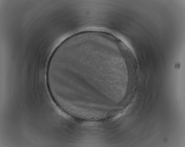 X0000091891237200710031755