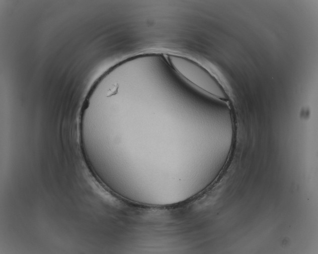 X0000091891238200710031755