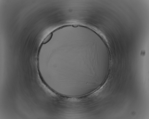 X0000091891239200710031755