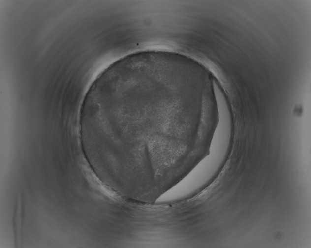 X0000091891240200710031755