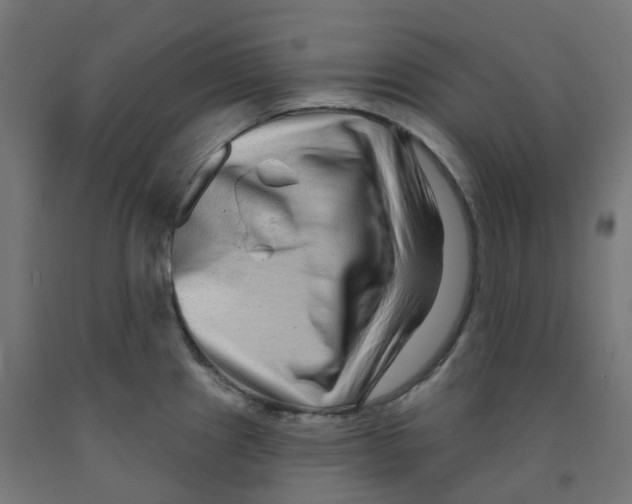 X0000091891241200710031755