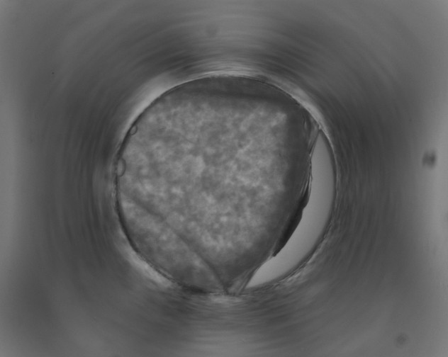 X0000091891243200710031755