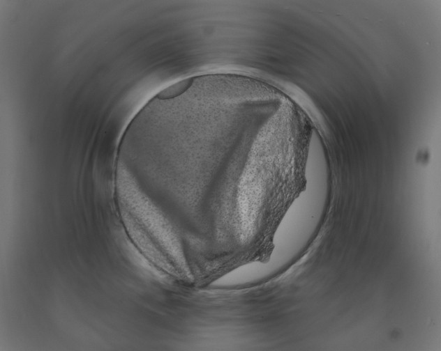 X0000091891244200710031755