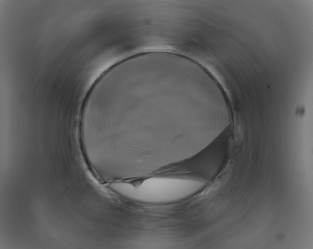 X0000091891245200710031755