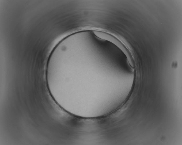X0000091891246200710031755