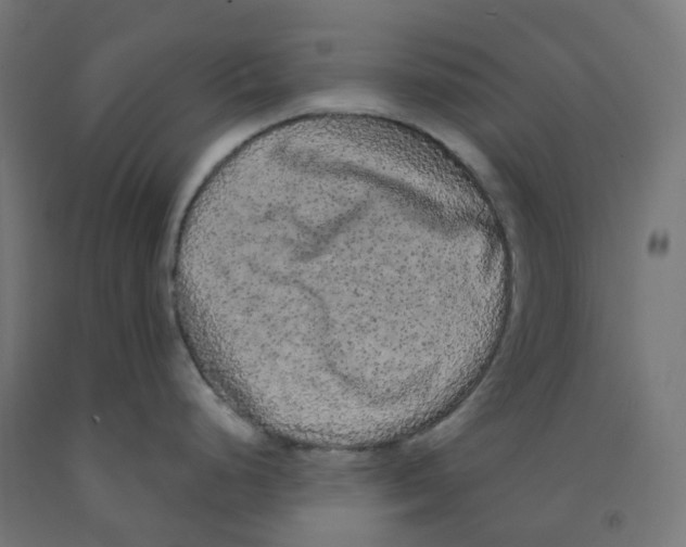 X0000091891248200710031755