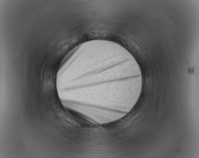 X0000091891250200710031755