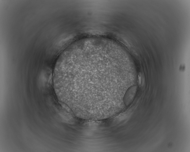 X0000091891251200710031755