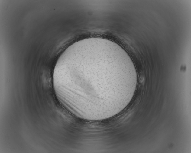 X0000091891252200710031755
